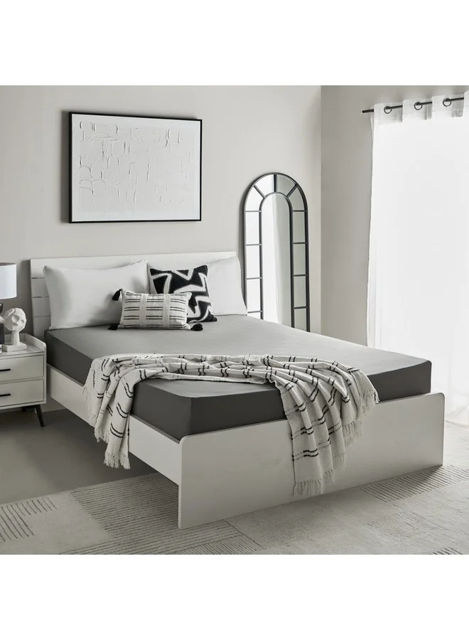 هوم بوكس شرشف سرير قطني أساسي مقاس كوين 200 × 36 × 160 سم