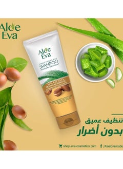 Aloe Eva Aloe Eva Shampoo With Aloe Vera & Moroccan Argan Oil 230 Ml  - Image 3