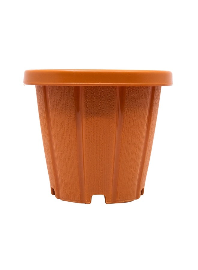 Cosmoplast Woodgrain Pot With Tray 6 Inches - Image 1