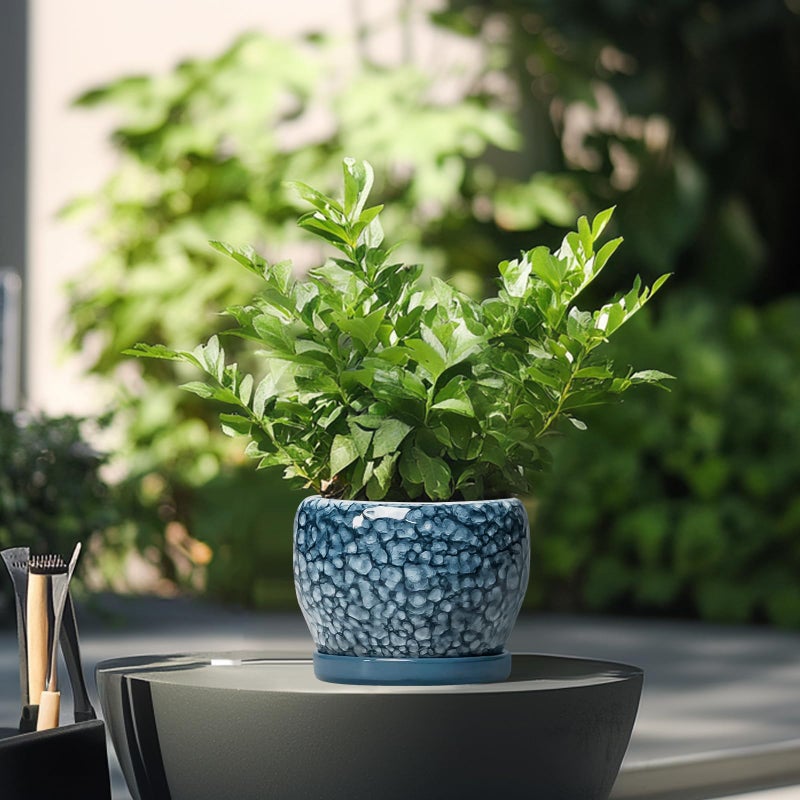SQOWL Ceramic Pots for Plants - 6 Inch Plant Pot Indoor Outdoor, Ceramic Planter with Drainage Hole and Saucer, Decorative Round Planter, Small Flower Pot, Table Decor, Gifts for Plant Lovers, Blue - Image 4