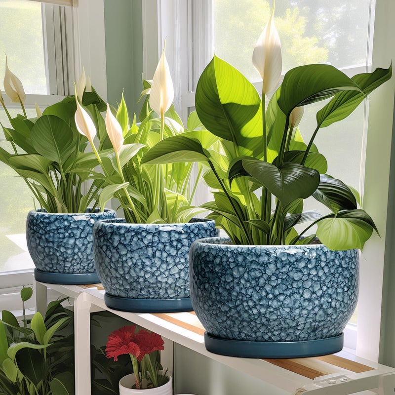 SQOWL Ceramic Pots for Plants - 6 Inch Plant Pot Indoor Outdoor, Ceramic Planter with Drainage Hole and Saucer, Decorative Round Planter, Small Flower Pot, Table Decor, Gifts for Plant Lovers, Blue - Image 5
