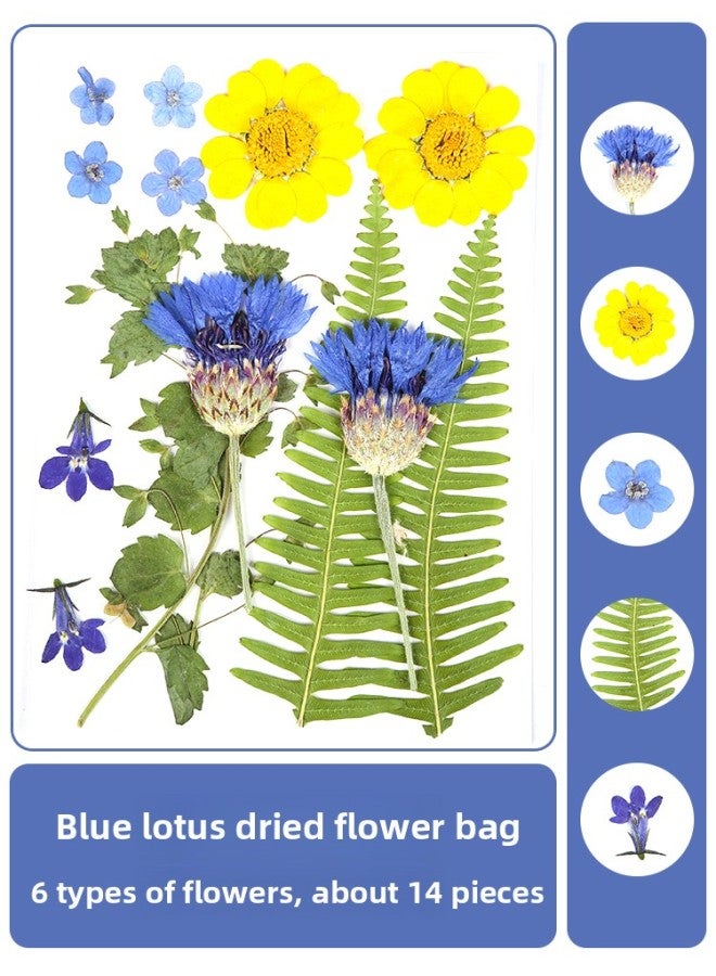 Dried Flower Embossed Photo Frame Acrylic Transparent Plastic Film Handmade DIY Material Plant Leaf Specimen Glass Frame-Colour:Other Sizes - Fluorescent Yellow Blue Lotus 14 Pieces  - Image 1