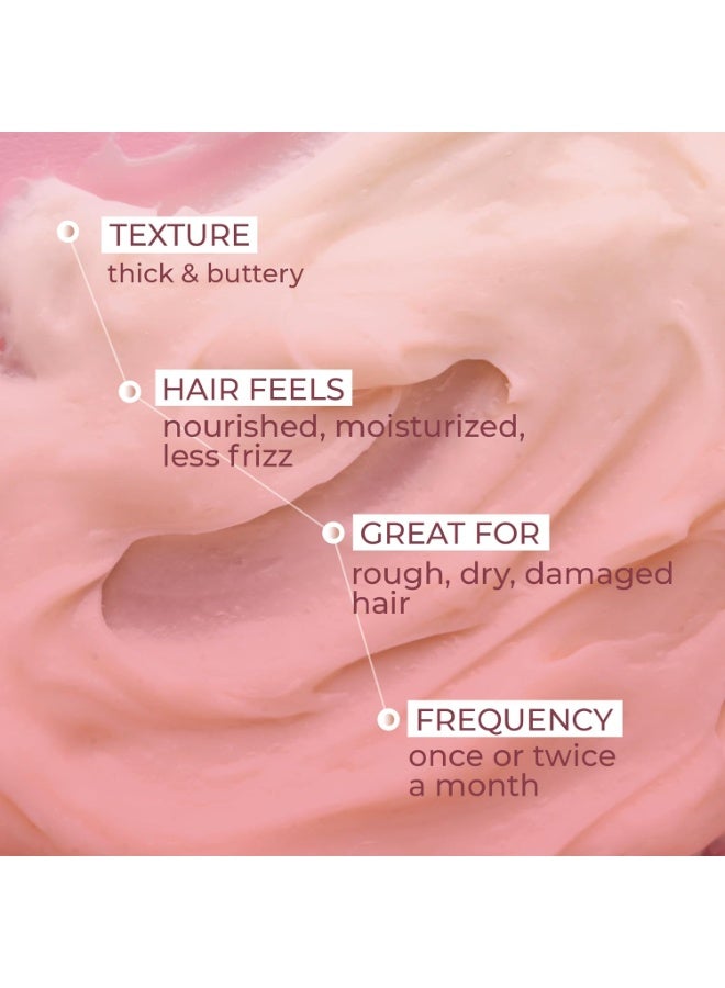 Ashba Botanics Deep Conditioning Hair Mask For Dry & Frizzy Hair|Hydrating Masque For Curly,Wavy,& Straight Hair|With Murumuru,Shea Butter,Baobab Protein,& Pequi Oil|Silicone Free - 237 ml,280 grams - Image 2