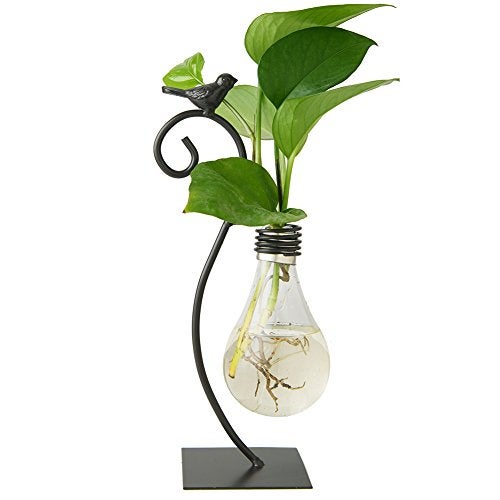 Marbrasse Desktop Glass Planter Hydroponics VasePlanter Bulb Vase with Holder for Home DecorationModern Creative Bird Plant Terrarium Stand Scindapsus Container Bulb Vase