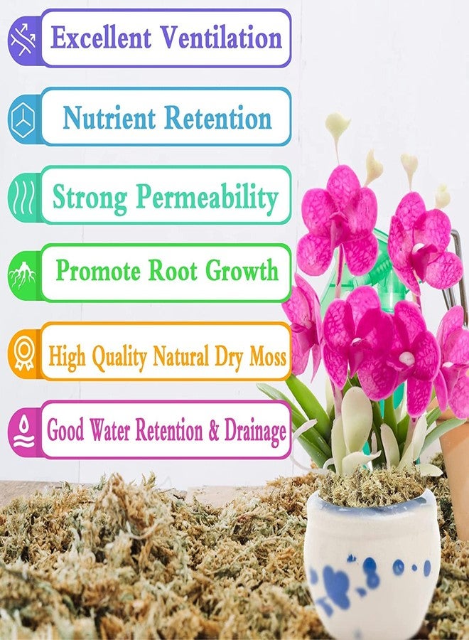 Legigo 5.3Oz Premium Sphagnum Moss Potting Mix- Natural Succulent Carnivorous Plants Dried, Plant Growing Medium For Orchid Sarracenia Gardening Reptiles, 6 Qt - Image 3