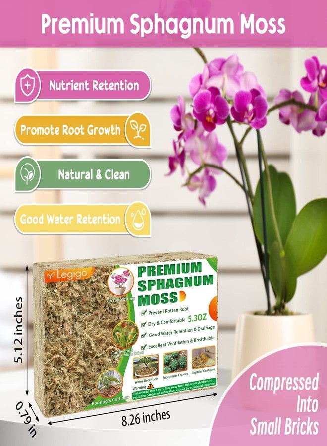 Legigo 5.3Oz Premium Sphagnum Moss Potting Mix- Natural Succulent Carnivorous Plants Dried, Plant Growing Medium For Orchid Sarracenia Gardening Reptiles, 6 Qt - Image 2
