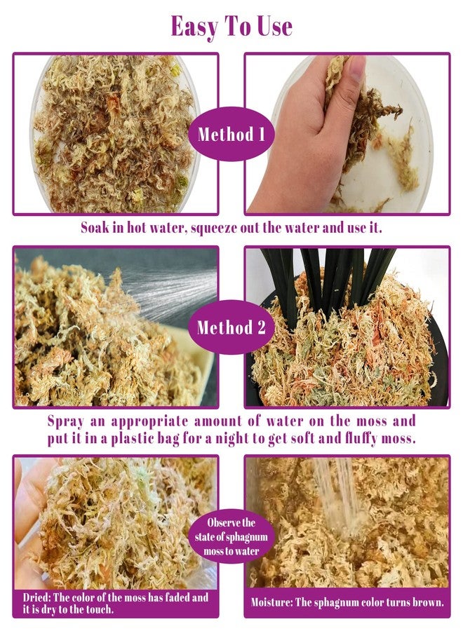 Legigo 5.3Oz Premium Sphagnum Moss Potting Mix- Natural Succulent Carnivorous Plants Dried, Plant Growing Medium For Orchid Sarracenia Gardening Reptiles, 6 Qt - Image 4