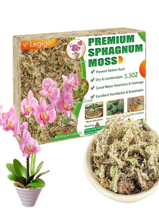 Legigo 5.3Oz Premium Sphagnum Moss Potting Mix- Natural Succulent Carnivorous Plants Dried, Plant Growing Medium For Orchid Sarracenia Gardening Reptiles, 6 Qt - Image 1