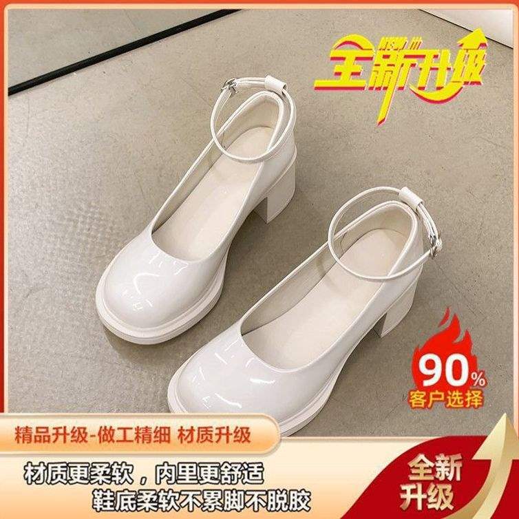 Fashionable Light Luxury Women'S Leather Shoes 2025 Spring New Retro Versatile Black Shallow Mouth Chunky Heel Non-Slip Mary Jane Shoes - Image 1