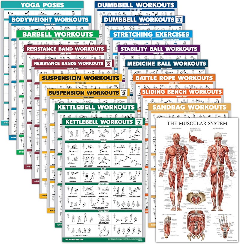 Palace Learning 18 Pack - Exercise Poster Set, Dumbbell, Suspension, Kettlebell, Resistance Bands, Stretching, Bodyweight, Barbell, Battle Rope, Yoga, Exercise Ball, Muscular and More (LAMINATED, 18" x 24") - Image 1