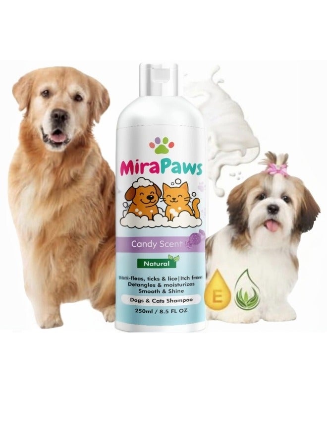 MiraPaws Pet Shampoo - Candy Scent 250ml - Image 3