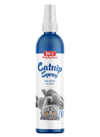 Catnip Spray for Cats to Stimulate Play and Relaxation - 100ml - pzsku/ZB77D60470E78D82751DBZ/45/1745789604/c40e3155-51b6-4ff7-8739-e9acb3a296f5