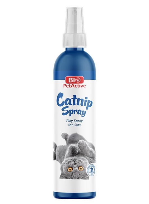 Catnip Spray for Cats to Stimulate Play and Relaxation - 100ml