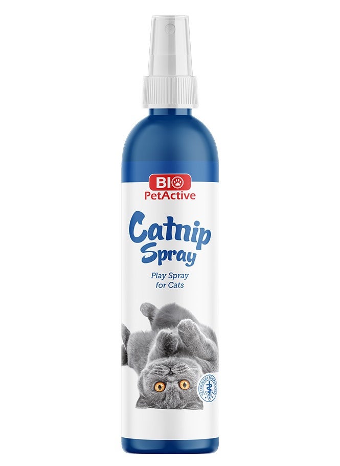 Bio PetActive Catnip Spray for Cats to Stimulate Play and Relaxation - 100ml 