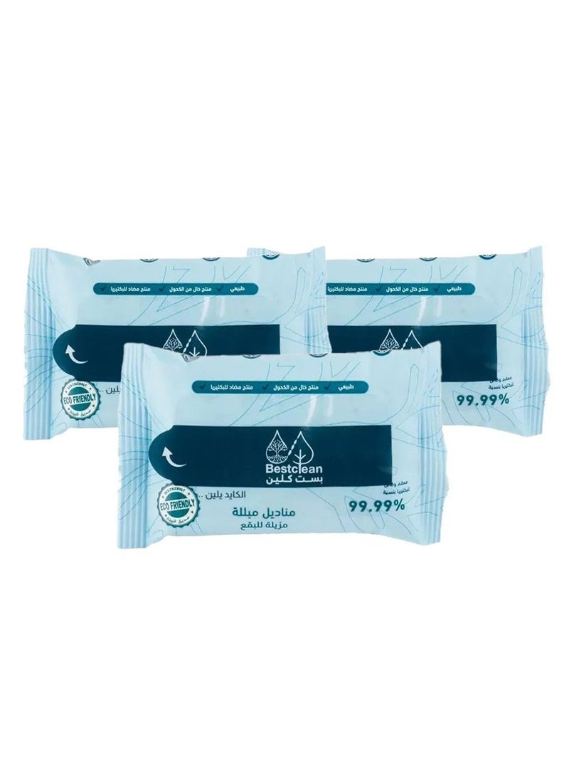 Bestclean Best Clean Stain Remover Wet Wipes - 3 pieces  - Image 1