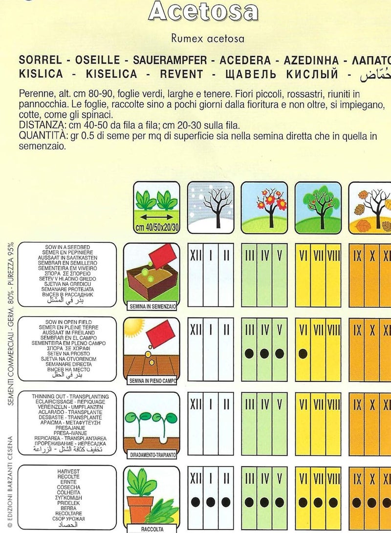 GGOOT Sorrel - 3 Gram Approx 3400 PICTORIAL Packet - Image 2