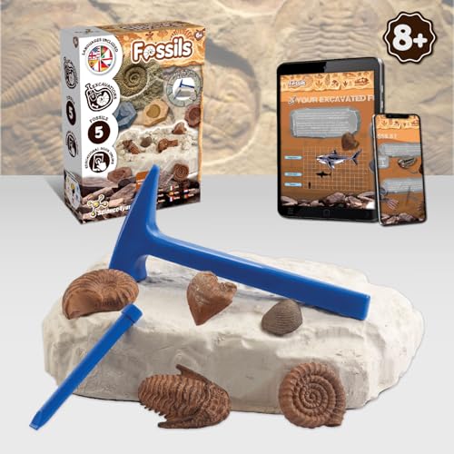 Science4you مجموعة حفر الحفريات Science4you للأطفال علم الآثار والتنقيب وعلوم الحفريات للأطفال لعبة STEM وهدايا للأولاد والبنات من عمر 6 7 8 12 - Image 5