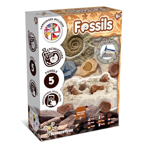 Science4you مجموعة حفر الحفريات Science4you للأطفال علم الآثار والتنقيب وعلوم الحفريات للأطفال لعبة STEM وهدايا للأولاد والبنات من عمر 6 7 8 12 - Image 1