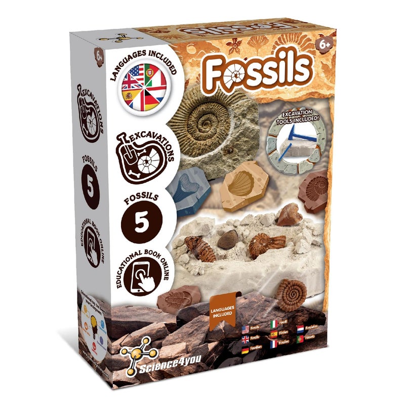 Science4you مجموعة حفر الحفريات Science4you للأطفال علم الآثار والتنقيب وعلوم الحفريات للأطفال لعبة STEM وهدايا للأولاد والبنات من عمر 6 7 8 12 - Image 3