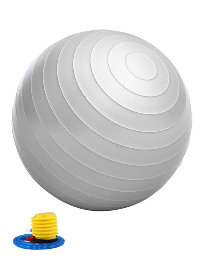 TOMSHOO Anti-Burst Yoga Ball With Hand Pump - Image 1
