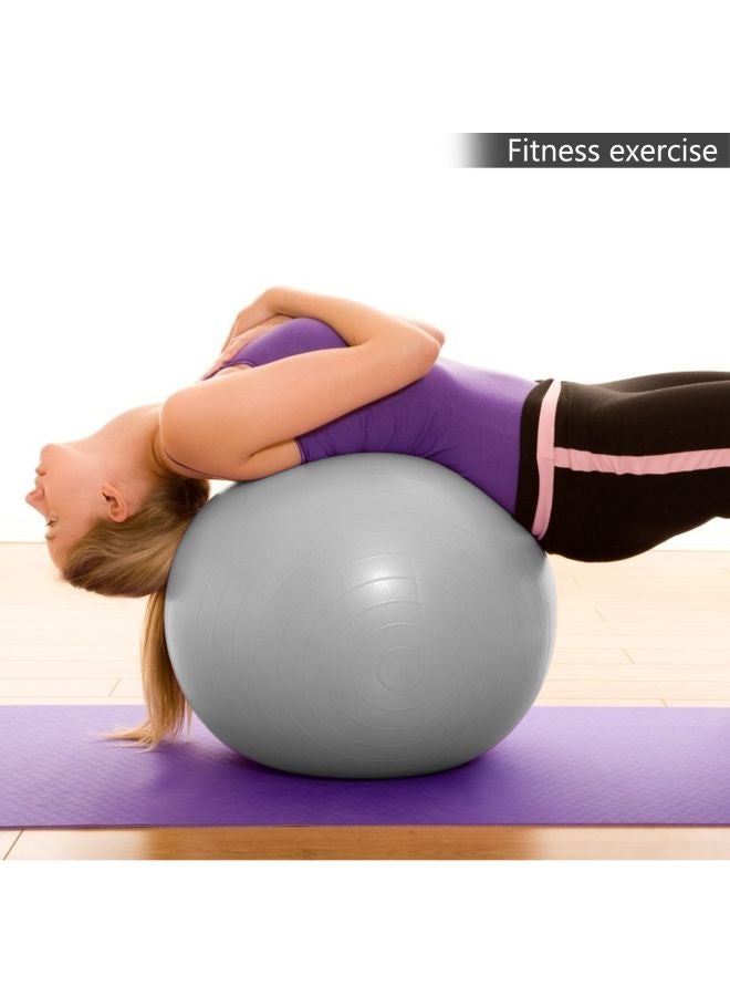 TOMSHOO Anti-Burst Yoga Ball With Hand Pump - Image 2
