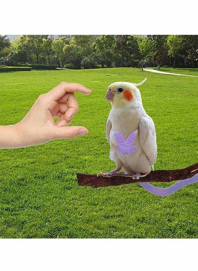 Bird Training Leash, Adjustable Parrot Flying Strap Rope Universal Flying Traction Lead Durable Outing Gadget Outdoor Training Toy for Birds, Parrot, Cockatiel, Parakeet, Lory, 1 Pcs, Purple - Image 2