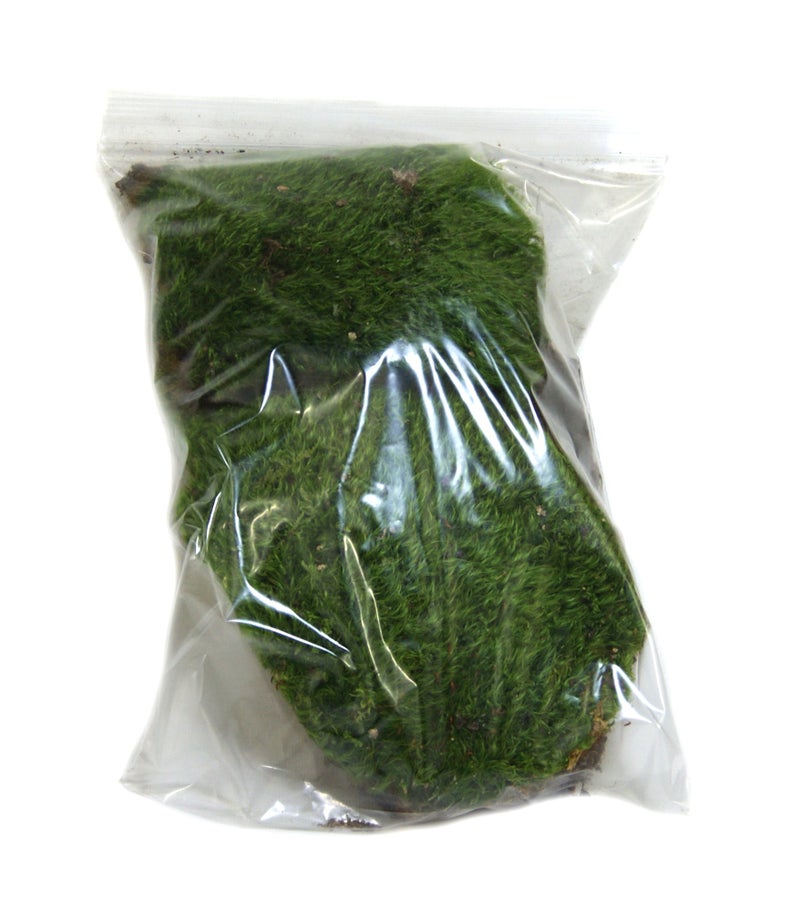 Josh's Frogs Dried Mood Moss (1 Gallon Bag) - Image 3