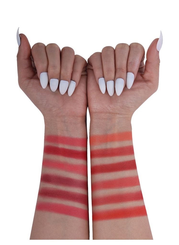 FUTURE MAKEUP - High Definition Blusher Powder - FU-104 - Image 1