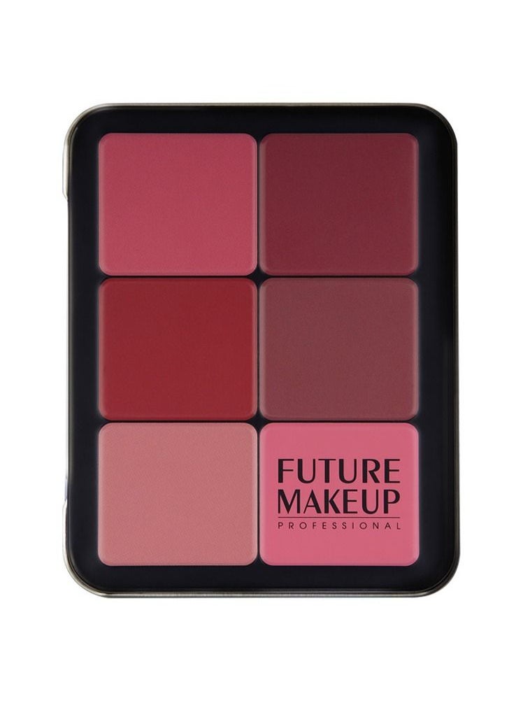 FUTURE MAKEUP - High Definition Blusher Powder - FU-104 - Image 1