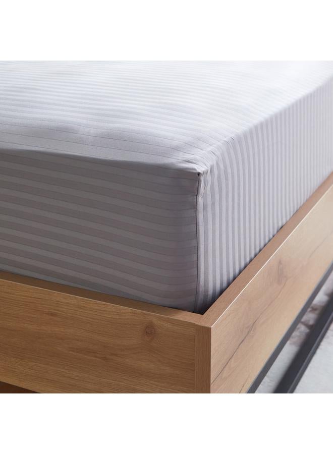 Hamilton Single Bci Cotton Stripe Satin Cotton Fitted Sheet 90X200 Plus 30 Cm - Image 5