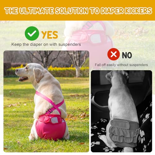 Avont 3 Pack Avont Washable Female Dog Diaper with Suspender Reusable Girl Doggie Diapers for Small Medium Large Doggy in Heat Cycle Period Incontinence L - Image 3
