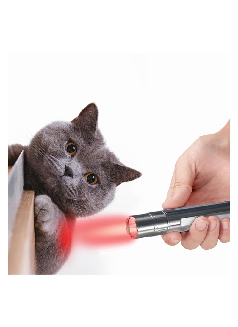 SYOSI - Red Light Therapy Device for Dogs - Near Infrared Light Therapy for Body, Joints, & Muscles Pain Relief, Portable LED Device with 630nm, 660nm, and 850nm Red Light, Rechargeable and Easy to Use - Image 1
