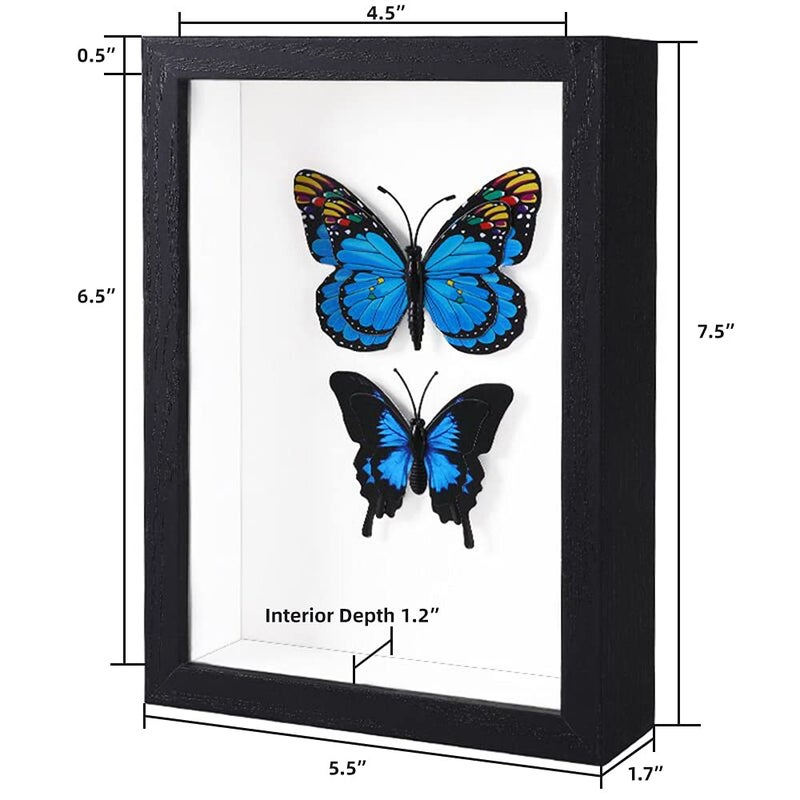 KAPIX Shadow Box 5x7 Picture Frame with Real Glass Deep Wood Memory Box Display case for Flowers Ticket Memorabilia Keepsake Medal Art and Photos Black - Image 2