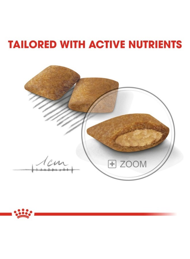 رويال كانين كانين كير نيوترشن إكسيجينت ميني 3 كجم - Image 1