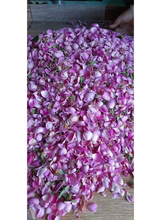 Saara بودرة بتلات الورد العضوية المنعشة من الأعشاب لبشرة ناعمة ومشرقة، عبوة بسحاب بني، 100 جرام - Image 5