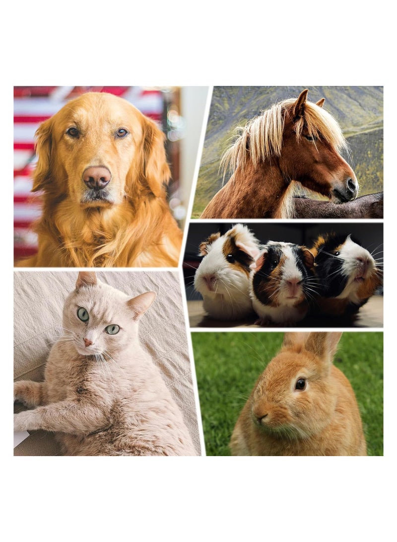 2PCS Dog and Cat Brush, Stainless Steel Dog Grooming Comb Kit, Detangler Deshedding Brush for Long Haired Dogs＆Cats, Dog Tangles Metal Comb＆Knots Hair Remover for Dog＆Cat Undercoat 6.4" 7.5 - Image 2