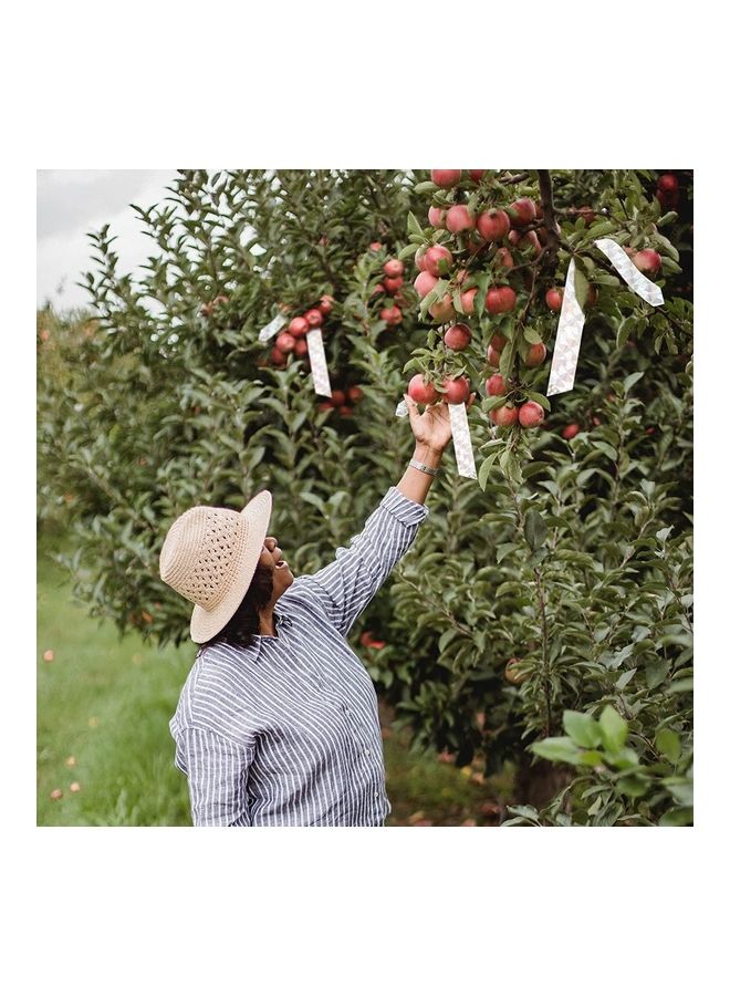 NIBEMINENT 2-Piece Bird Scare Reflective Tape Silver - Image 3