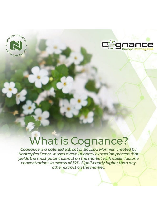 Nootropics Depot - Cognance Enhanced Bacopa Capsules ; 100Mg ; 10% Ebelin Lactone ; Bacopa Monnieri ; Mood Memory & 5Ht2A Activation - Image 1
