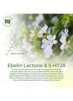Nootropics Depot Cognance Enhanced Bacopa Capsules ; 100Mg ; 10% Ebelin Lactone ; Bacopa Monnieri ; Mood Memory & 5Ht2A Activation  - Image 5