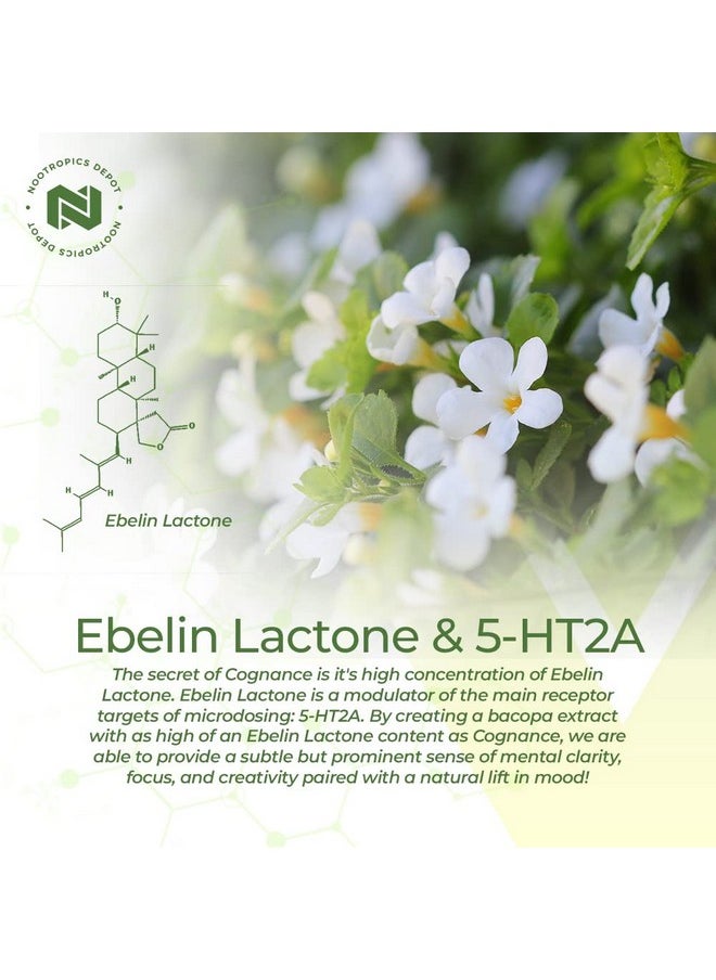 Nootropics Depot - Cognance Enhanced Bacopa Capsules ; 100Mg ; 10% Ebelin Lactone ; Bacopa Monnieri ; Mood Memory & 5Ht2A Activation - Image 1