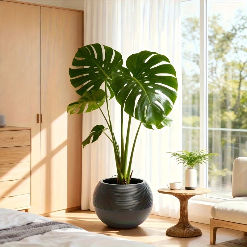 Black Nordic Minimalist Plastic Round Flower Pot with Drainage Hole - Image 2