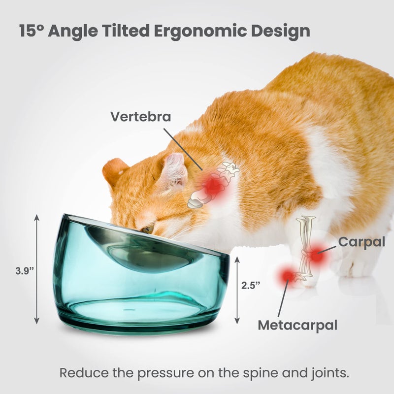 Felli Pet Oblik Whisker Fatigue Cat Bowl Raised Stainless Steel Shallow Dish, Tilted Anti Vomit Non Spill Wide Metal Plate for Puppy Small Dog, Slanted Dry Wet Food Feeder Elevated (0.5Cup, Classic) - Image 5