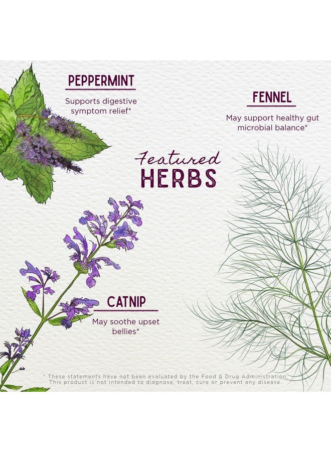 WishGarden Herbs Colic Ease for Infants - Natural Herbal Colic Relief for Newborns, Infant Gas Relief Drops Soothes Baby Gas Bubbles Quickly, More Effective Than Gripe Water for Infants, 2oz Drops - Image 4