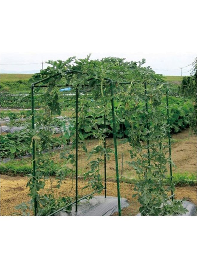 Sharpdo Climbing Plant Net Green 1.8x1.8cm Durable Garden Trellis Support for Outdoor and Indoor Use - Image 5