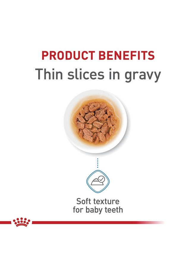 Royal Canin Size Health Nutrition X-Small Puppy Thin Slices in Gravy Wet Dog Food, 3 oz can 12-Pack - Image 2