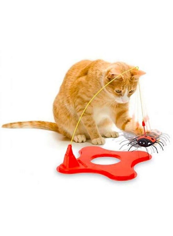 جي دبليو لعبة قطط مغناطيسية من JW Pet، متعددة الاستخدامات، مقاس واحد، (71046) - Image 4