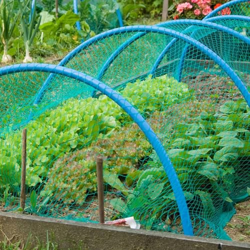 RK Trends Anti Bird Netting | Heavy-Duty Anti-Bird Protection for Garden, Fruit Trees, and Vegetables | Durable Blue (10 x 300) - Image 2