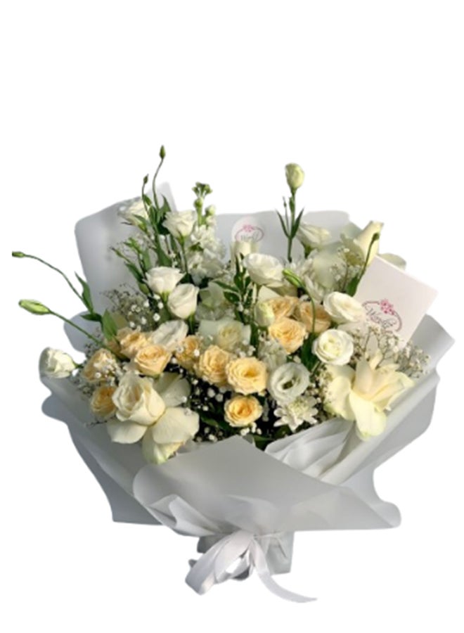 wardi Heavenly Harmony