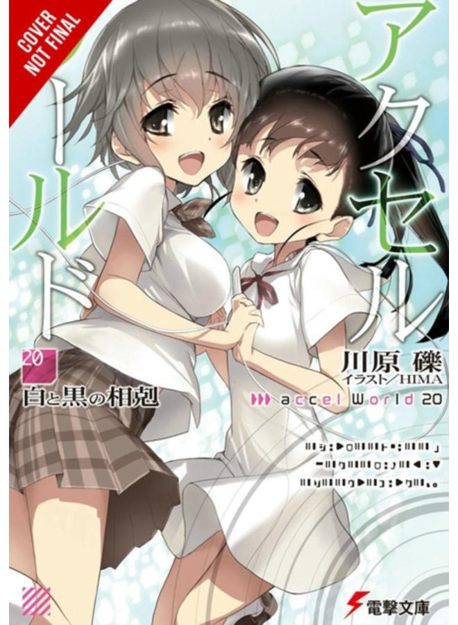 Accel World, Vol. 20 (light novel) 