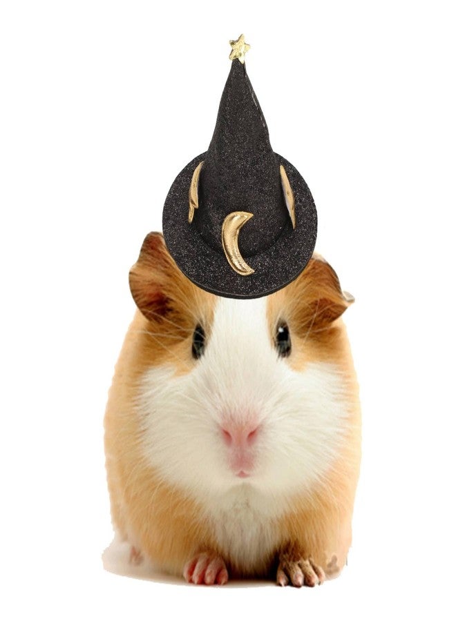 Jiawu Halloween Hat, Hamster Hat Mini Small Animals Hat, Small Animal Costume Halloween Wizard Hat, Halloween Costumes - Image 1